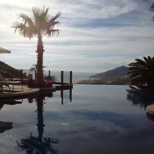 Meet your Posher, Lynne ann